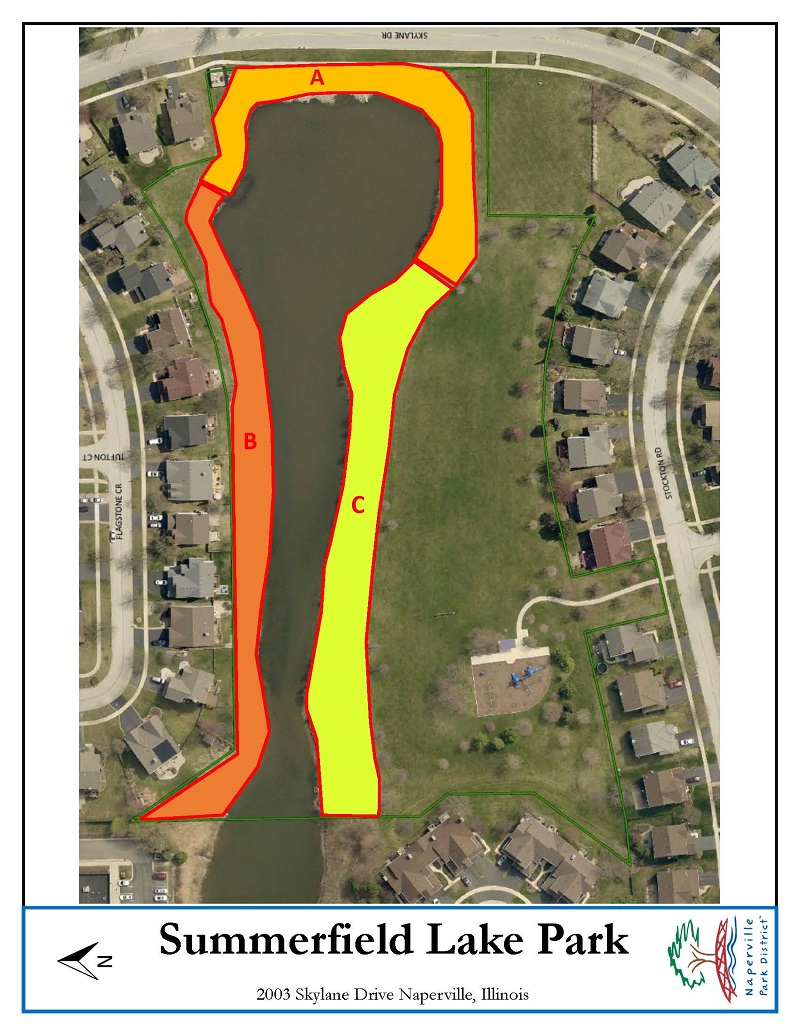 summerfield illinois map Download - Summerfield Illinois Map 27